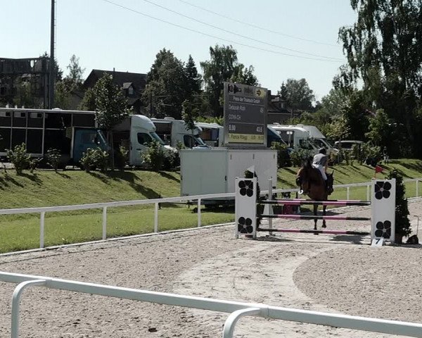 Pferdesporttage Bülach 2021
