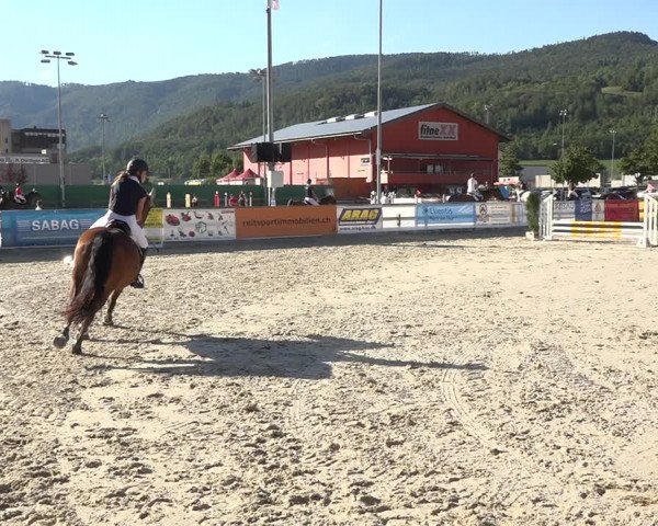 Reitturnier Balsthal 2020