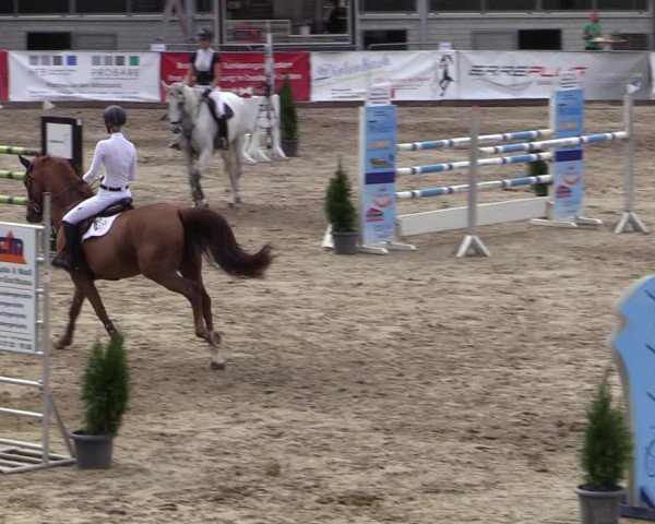 Reitturnier Siegen 2020
