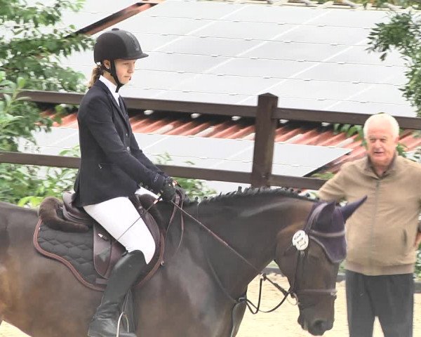 Reitturnier Bübinger Hof 2020