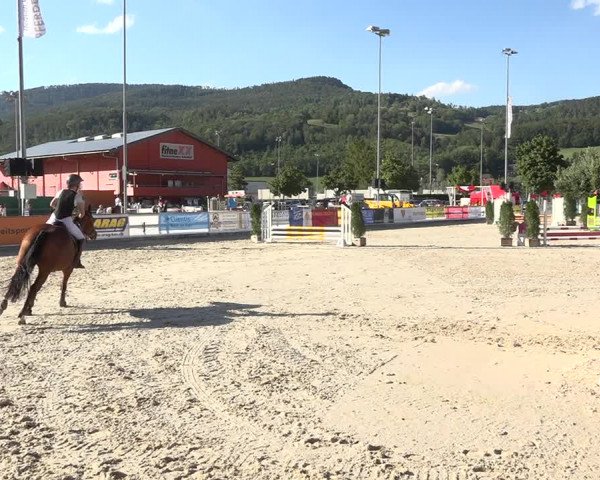 Reitturnier Balsthal 2020