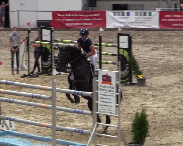 Reitturnier Siegen 2020