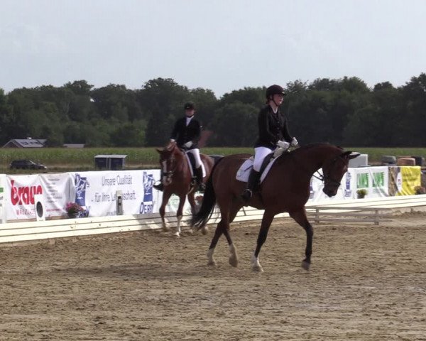 Reitturnier Ostbevern 2020