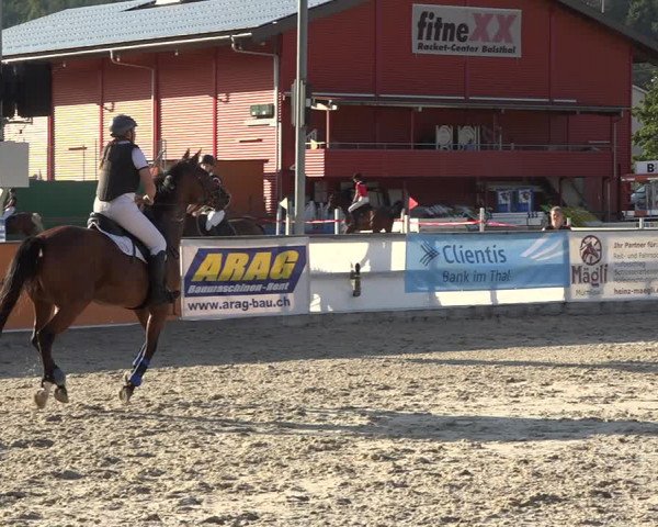 Reitturnier Balsthal 2020