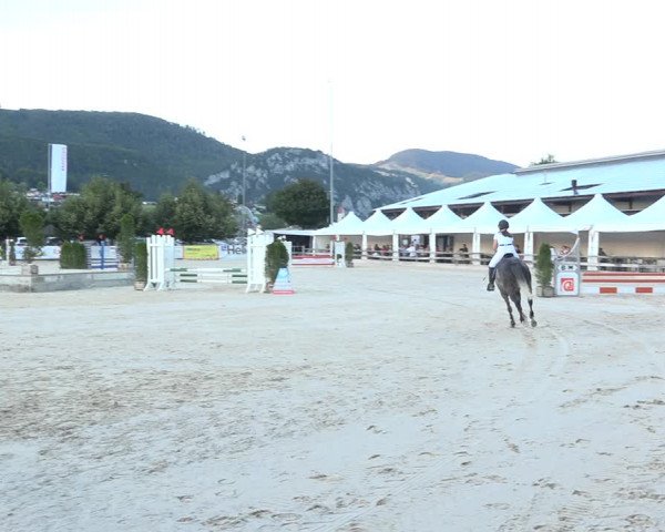Reitturnier Balsthal 2020