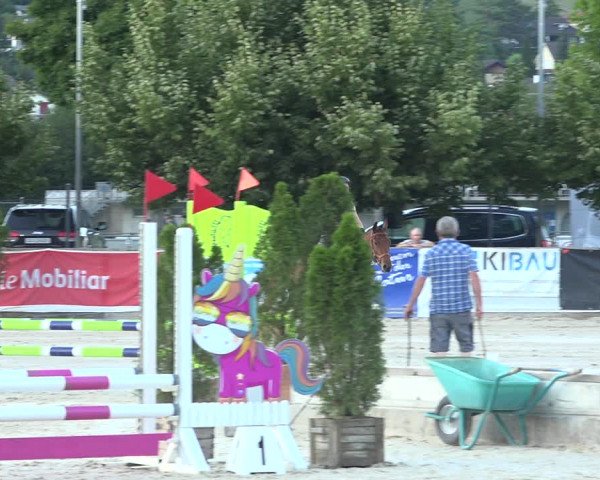 Reitturnier Balsthal 2020