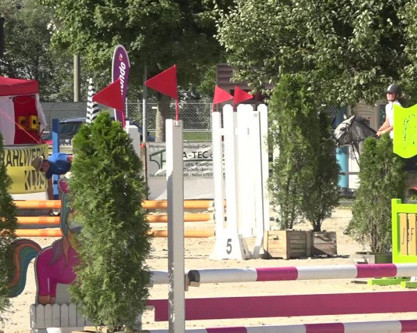 Reitturnier Balsthal 2020