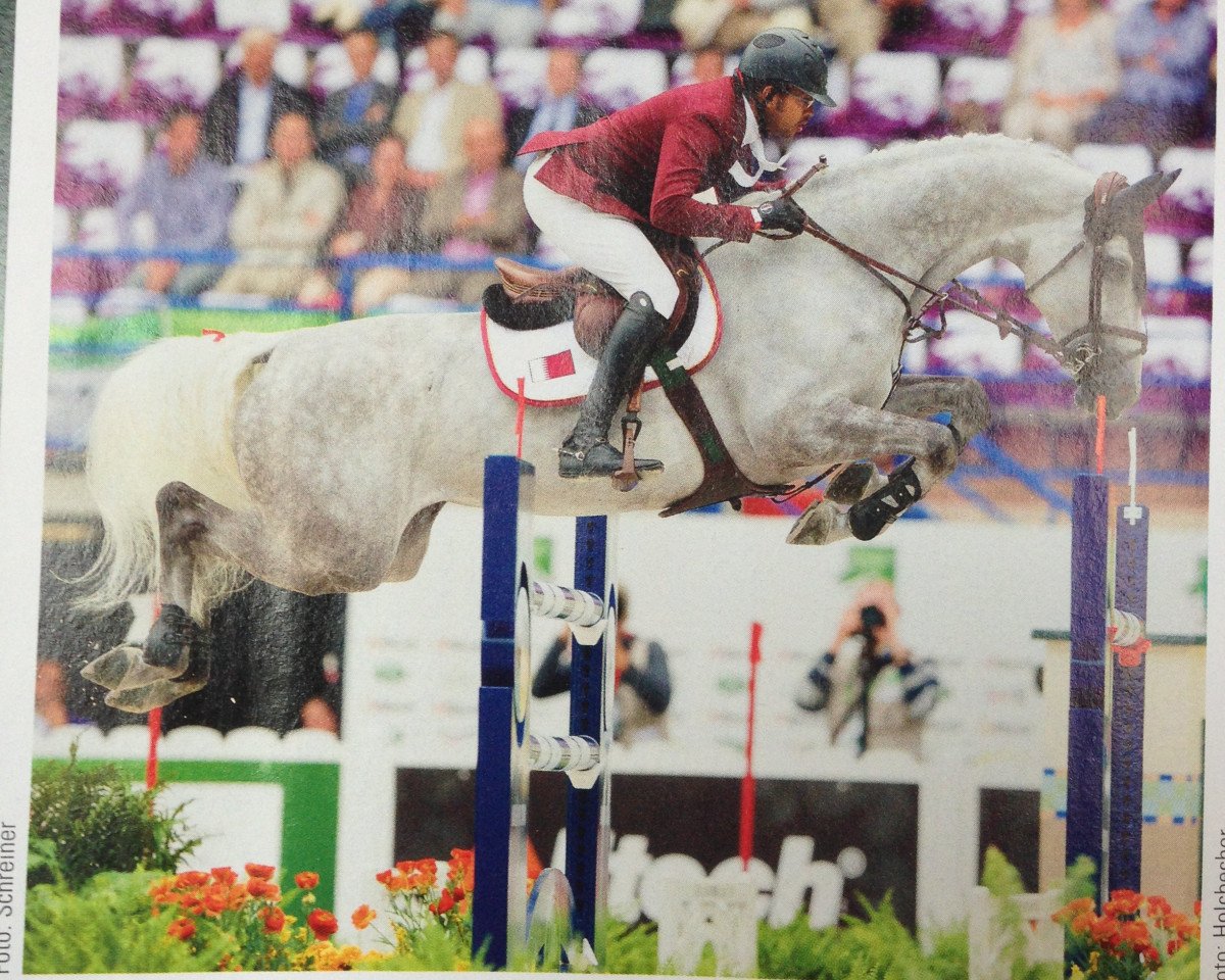 jumper Eurocommerce California (Oldenburg show jumper, 2002, from Corland)