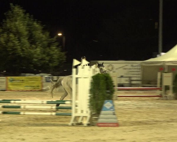 Reitturnier Balsthal 2020