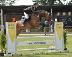 jumper Clever Girl 11 (Zweibrücken, 2011, from Clever and Smart)