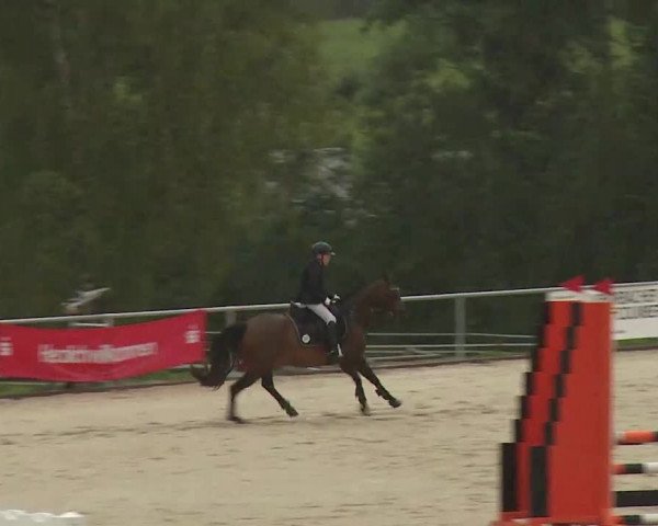 Reitturnier Ansbach/Mfr. 2020