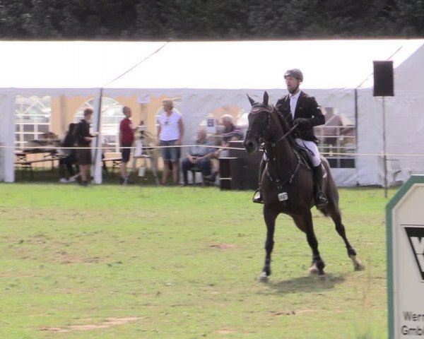 Reitturnier Hanerau-Hademarschen 2020