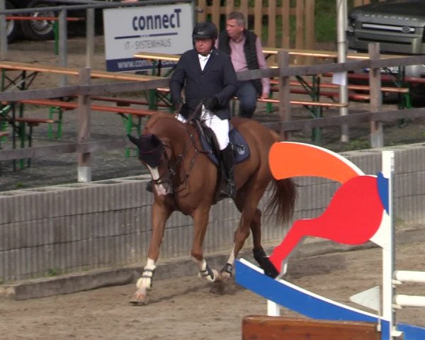 Reitturnier Siegen 2020