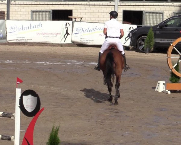 Reitturnier Siegen 2020