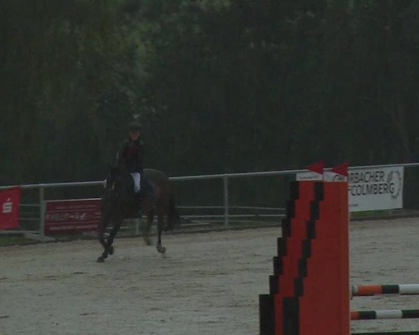 Reitturnier Ansbach/Mfr. 2020