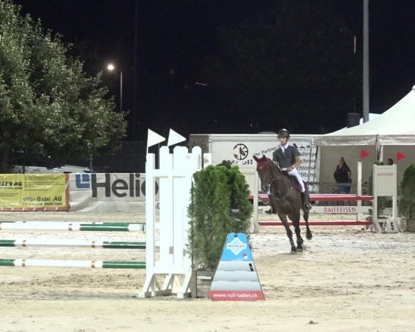 Reitturnier Balsthal 2020