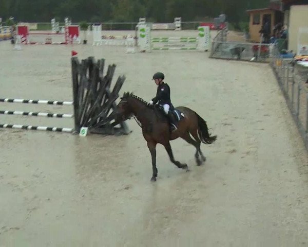 Reitturnier Ansbach/Mfr. 2020