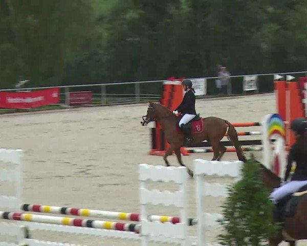 Reitturnier Ansbach/Mfr. 2020