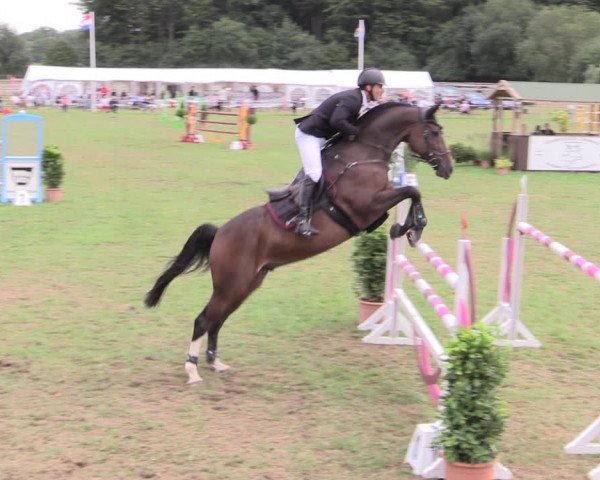 Reitturnier Hanerau-Hademarschen 2020