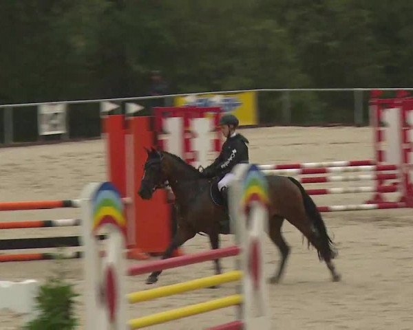 Reitturnier Ansbach/Mfr. 2020