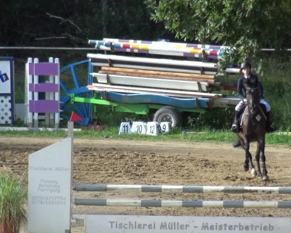Reitturnier Viersen-Dülken 2020