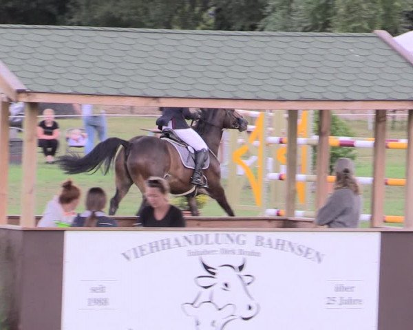 Reitturnier Hanerau-Hademarschen 2020