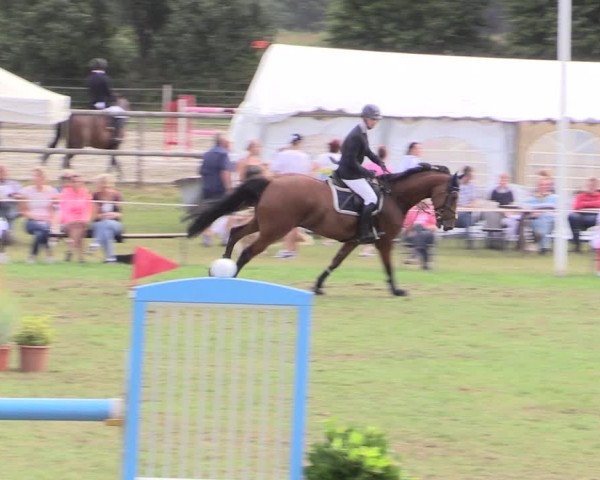 Reitturnier Hanerau-Hademarschen 2020