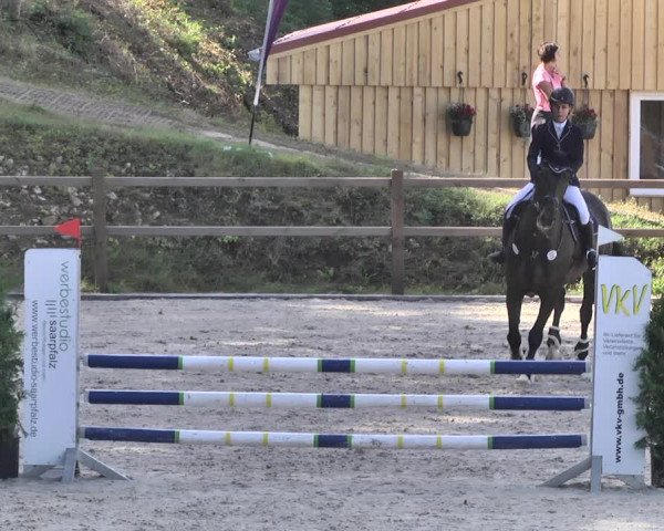 Reitturnier Bübinger Hof 2020