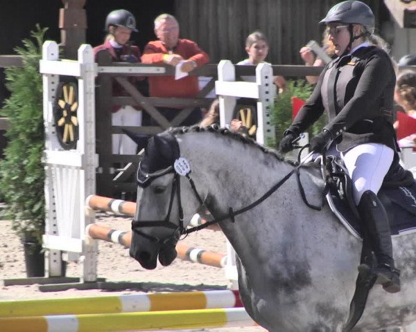 Reitturnier Bübinger Hof 2020