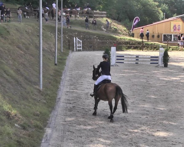 Reitturnier Bübinger Hof 2020