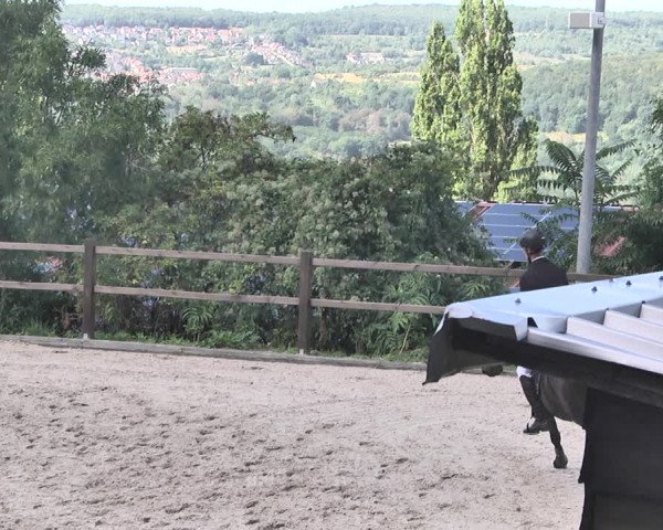 Reitturnier Bübinger Hof 2020