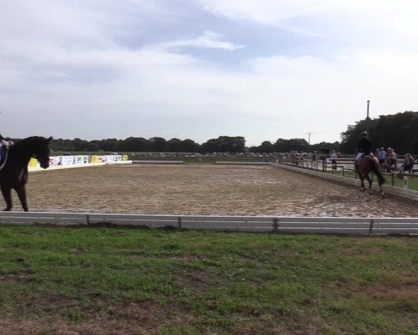 Reitturnier Ostbevern 2020