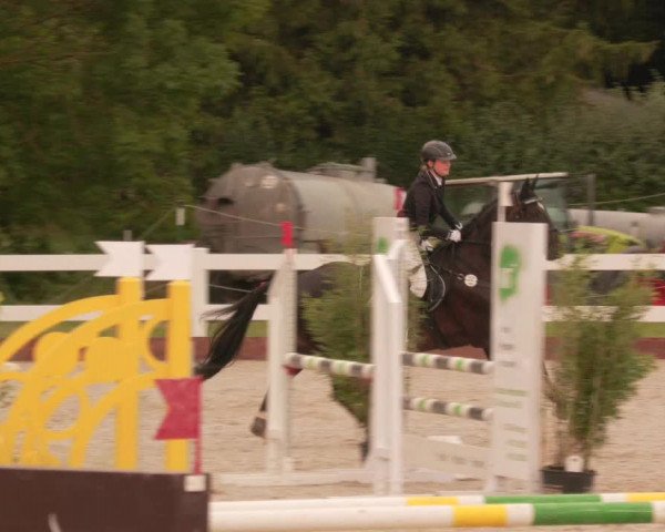 Reitturnier Öpfingen 2020
