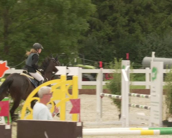 Reitturnier Öpfingen 2020