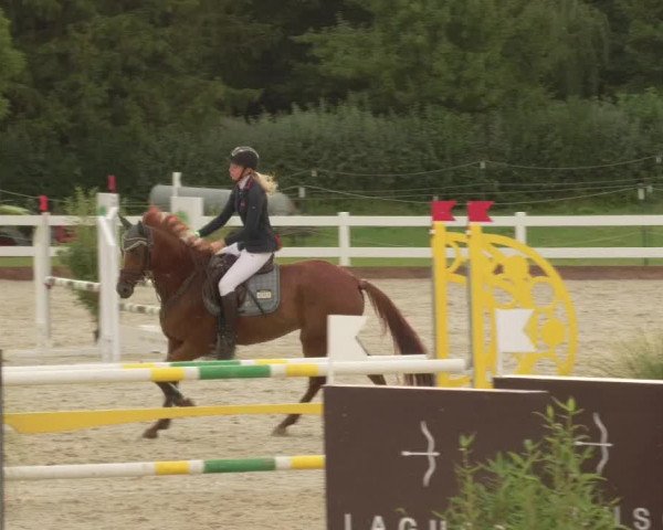 Reitturnier Öpfingen 2020