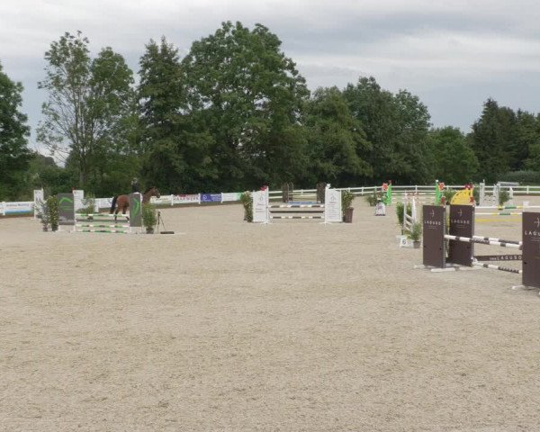 Reitturnier Öpfingen 2020