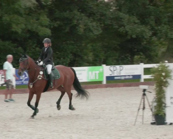 Reitturnier Öpfingen 2020