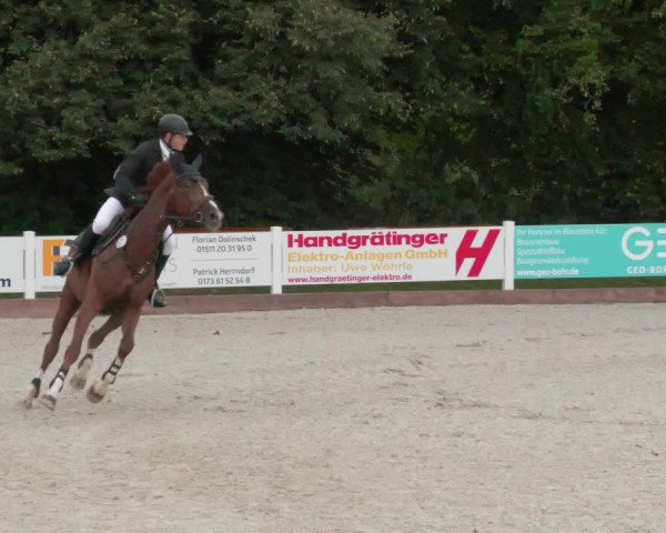 Reitturnier Öpfingen 2020