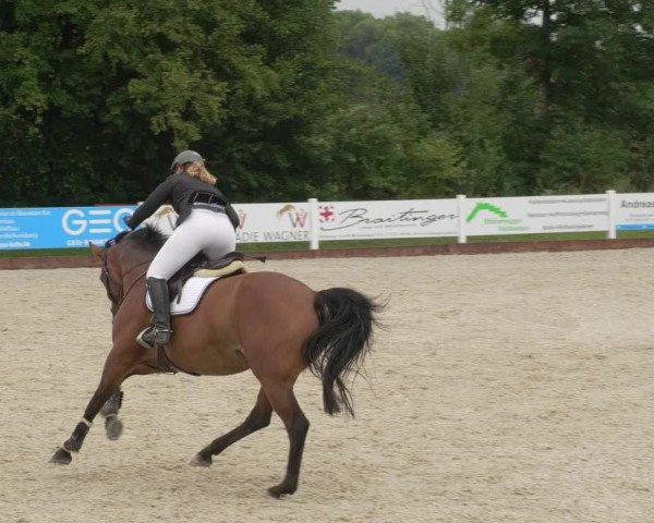 Reitturnier Öpfingen 2020