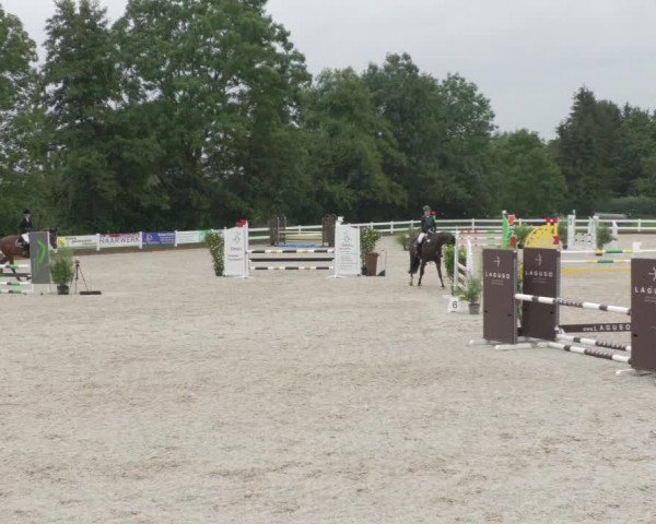 Reitturnier Öpfingen 2020