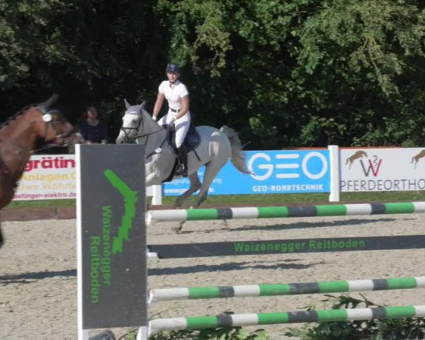 Reitturnier Öpfingen 2020