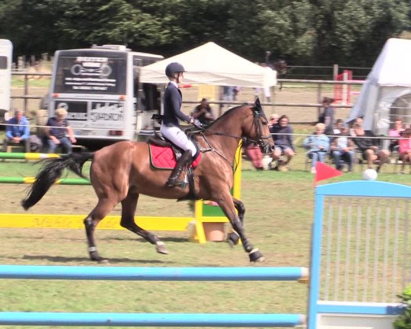 Reitturnier Hanerau-Hademarschen 2020