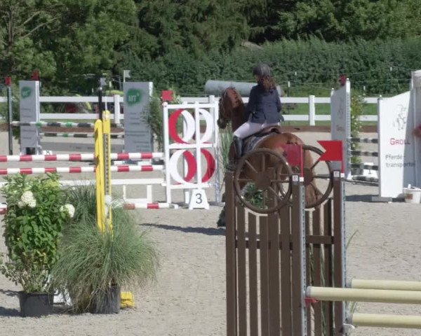 Reitturnier Öpfingen 2020