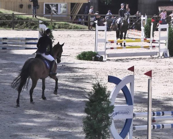 Reitturnier Bübinger Hof 2020