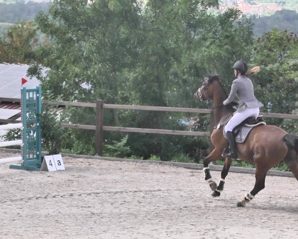 Reitturnier Bübinger Hof 2020