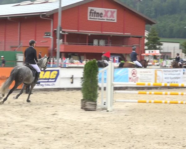 Reitturnier Balsthal 2020