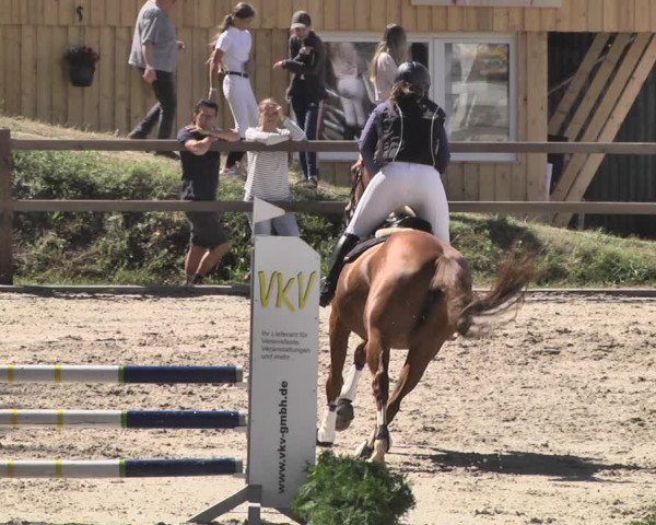 Reitturnier Bübinger Hof 2020