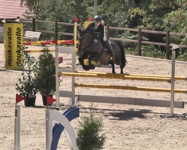 Reitturnier Bübinger Hof 2020