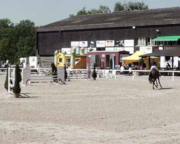 Pferdesporttage Bülach 2021
