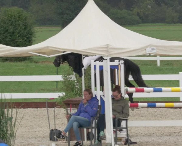 Reitturnier Öpfingen 2020